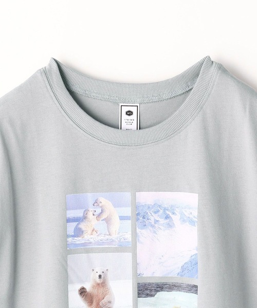 179/WG(イチナナキュウダブルジー)の「シロクマTシャツ(Tシャツ/カットソー・レディース・ブルー/ブラック/オフホワイト・FREE)」の8枚目の写真