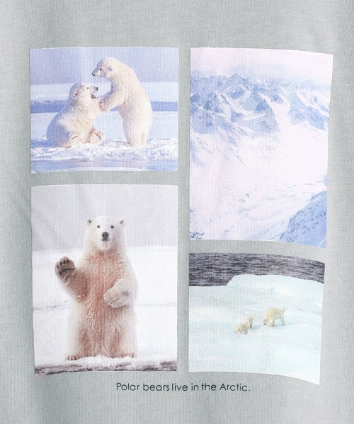 179/WG(イチナナキュウダブルジー)の「シロクマTシャツ(Tシャツ/カットソー・レディース・ブルー/ブラック/オフホワイト・FREE)」の12枚目の写真