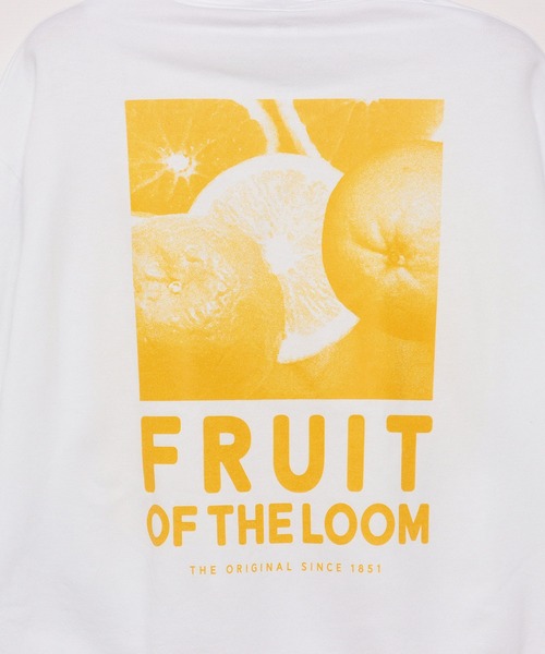 FRUIT OF THE LOOM(フルーツオブザルーム)の「プリントフーディ23 / 長袖 / スウェット / パーカー / バック / ロゴ / プリント / カジュアル / ユニセックス(パーカー・メンズ・イエロー/グリーン/レッド/サックスブルー・M/L/XL)」の14枚目の写真