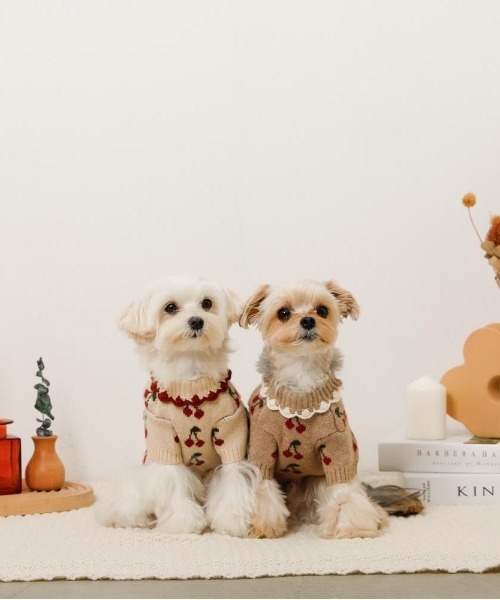 ☆ ❀ チェリー❀様 犬ハンドメイドニット ❀ チェリー❀様 犬