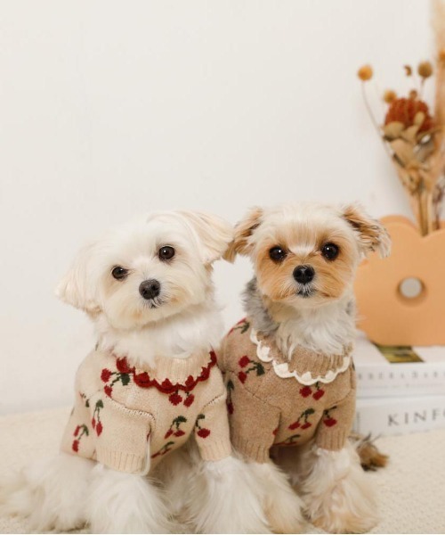 No.31 ハンドメイド犬服 フリル付きハイネックカットソー No.31 ハンドメイド犬服 フリル付きハイネックカットソー iDog フリル