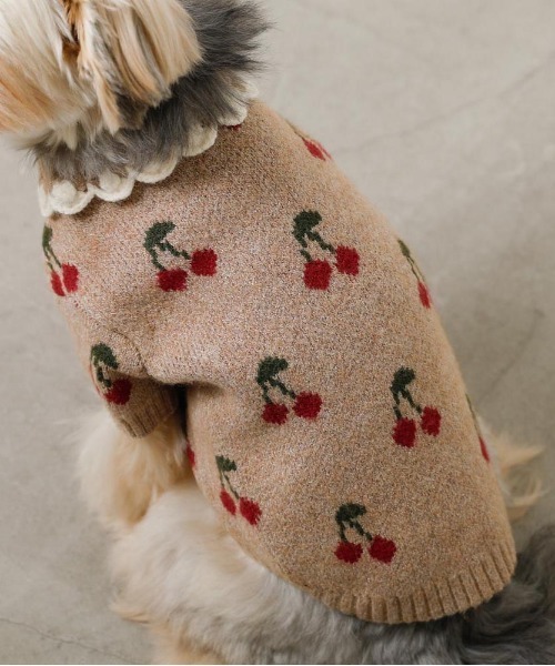 フリル襟チェリーニットトップス / 犬服 / ドッグウェア（ペットウェア