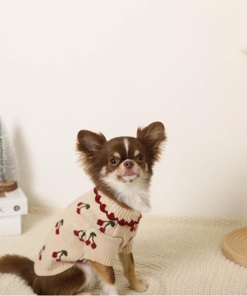 セール】フリル襟チェリーニットトップス / 犬服 / ドッグウェア