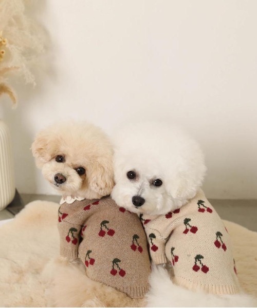 フリル襟チェリーニットトップス / 犬服 / ドッグウェア（ペットウェア