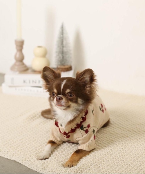 moncheri（モンシェリ）の「フリル襟チェリーニットトップス / 犬服 / ドッグウェア（ペットウェア・レディース・ベージュ/アイボリー・L/M/S/XL/XS/2M）」の18枚目の写真