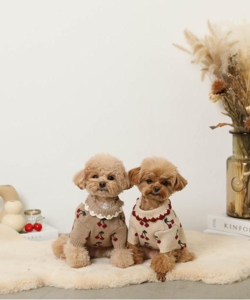 セール】フリル襟チェリーニットトップス / 犬服 / ドッグウェア