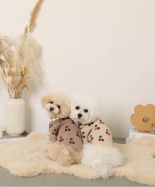 セール】フリル襟チェリーニットトップス / 犬服 / ドッグウェア