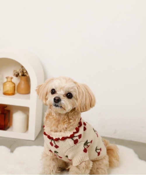 フリル襟チェリーニットトップス / 犬服 / ドッグウェア（ペットウェア