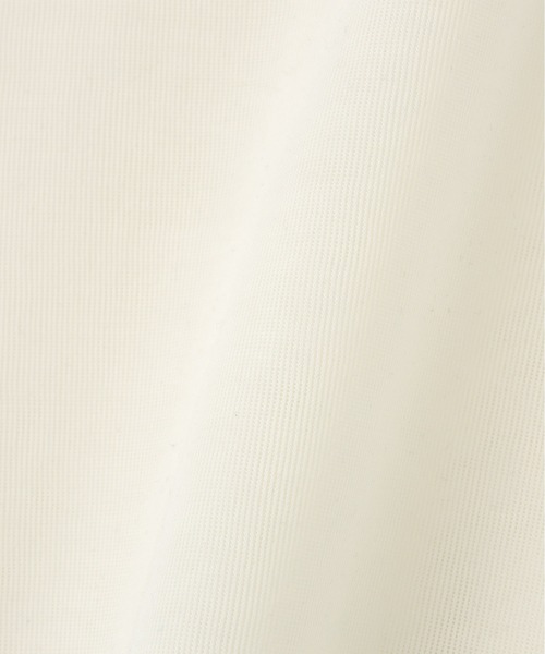 N.(N. Natural Beauty Basic)(エヌエヌナチュラルビューティーベーシック)の「シアーボクシーカットソー(Tシャツ/カットソー・レディース・ブラック/オフホワイト/杢グレー/ブラウン・MEDIUM)」の20枚目の写真