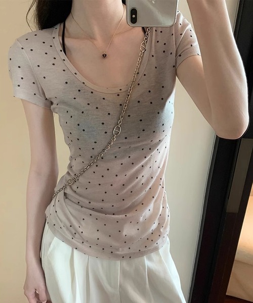 HALEY PESCA(ヘーリーペスカ)の「HALEY PESCA/シースルー ドット柄半袖トップス(Tシャツ/カットソー・レディース・グレー/アイボリー・SMALL/MEDIUM)」の1枚目の写真
