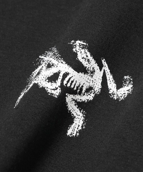 ARC'TERYX(アークテリクス)の「ARC’TERYX / Kragg SL Cotton Bird Tile LS(Tシャツ/カットソー・メンズ・ブラウン/ブラック/グリーン系その他5・LARGE/MEDIUM/X-LARGE)」の6枚目の写真