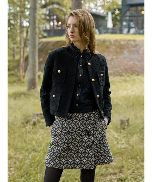 DRESSTERIOR(ドレステリア)の「【洗える/シアー素材】フィルムドットブラウス(シャツ/ブラウス・レディース・ブラック・34/38/36)」の2枚目の写真