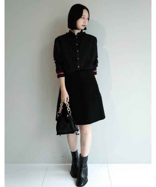 DRESSTERIOR(ドレステリア)の「【洗える/シアー素材】フィルムドットブラウス(シャツ/ブラウス・レディース・ブラック・34/38/36)」の20枚目の写真