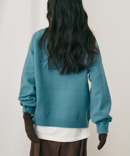 MERLOT(メルロー)の「アニマルジャガードニット(ニット/セーター・レディース・グレー/ブルー/レッド・FREE)」の22枚目の写真