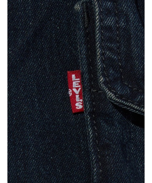 Levi's（リーバイス）の「Levi's/リーバイス BAGGY FIELD カーゴパンツ（カーゴパンツ・メンズ・ブルー・S/M/L/XL）」の9枚目の写真