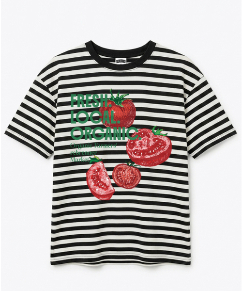 REBRENNER(リブレンナー)の「DTFローカルオーガニックストライプクロップ半袖Tシャツホワイトブラック(Tシャツ/カットソー・レディース・ホワイト系その他2・MEDIUM/LARGE/X-LARGE)」の3枚目の写真