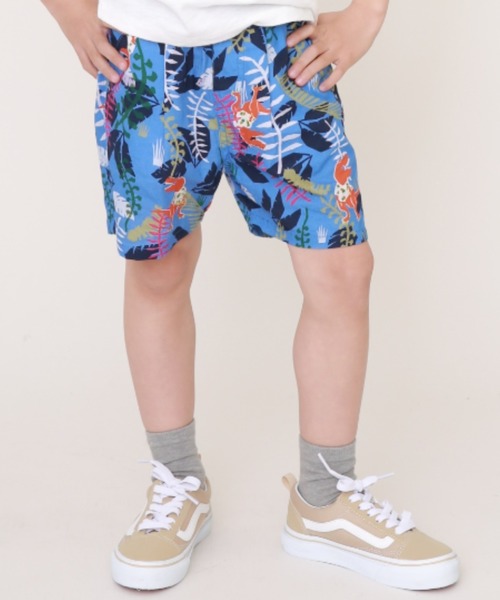 DILASH（ディラッシュ）の「恐竜柄3.5分丈パンツ（その他パンツ・キッズ・ブルー/グレー・90/100/130/120/110/80/140）」の2枚目の写真