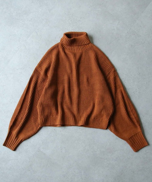 ブラウン　茶色 ハイネック ニット 半袖 F リボン付き imgrc0073753629.jpg