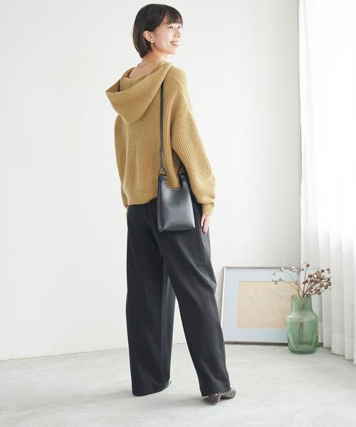 green label relaxing（グリーンレーベルリラクシング）の「HAMILTON ハミルトン ALP アゼ フード プルオーバー ニット（ニット/セーター・レディース・ホワイト/ライトグレー/ベージュ・FREE）」の11枚目の写真