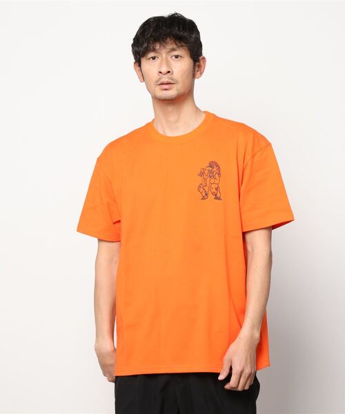 NIKE ACG（ナイキエィシージー）の「NIKE AS M NRG ACG SS TEE