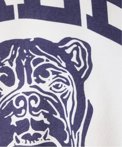 【ブルドッグストア】 C.E.L.STORE（セルストア）の「THE BOOK STORE/ザブックストア YALE