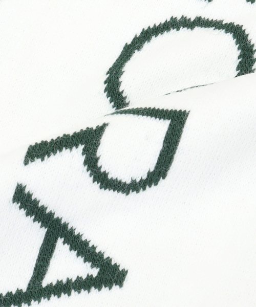 PULP/417EDIFICE(パルプフォーワンセブンエディフィス)の「【RASSVET / ラスベート】SPORT SCARF(マフラー・メンズ・ブラウン/グリーン・FREE)」の13枚目の写真