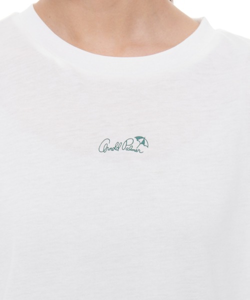 Arnold Palmer（アーノルドパーマー）の「ニットベスト × ラウンドテール Tシャツ セット（アンサンブル・レディース・グリーン/ベージュ/ピンク・L/M/S）」の9枚目の写真