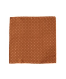 BEAMS F | PAOLO ALBIZZATI / シルク ドット柄 プリント チーフ(ハンカチ/ハンドタオル)