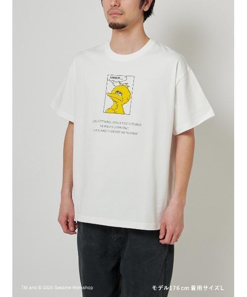 SESAME STREET(セサミストリート)の「【UNISEX】コミックアートTシャツ(Tシャツ/カットソー・レディース・イエロー/レッド/ブルー・MEDIUM/LARGE)」の13枚目の写真