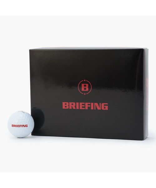 BRIEFING BEAMS ノベルティ 非売品 シューズケース BRIEFING BEAMS ノベルティ 非売品 シューズケース