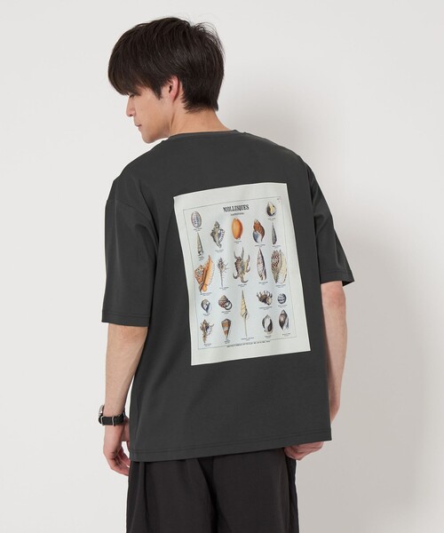 green label relaxing(グリーンレーベルリラクシング)の「DEYROLLE GLR クルーネック Tシャツ(Tシャツ/カットソー・メンズ・その他2/その他1/その他3・XL/S/L/M)」の1枚目の写真