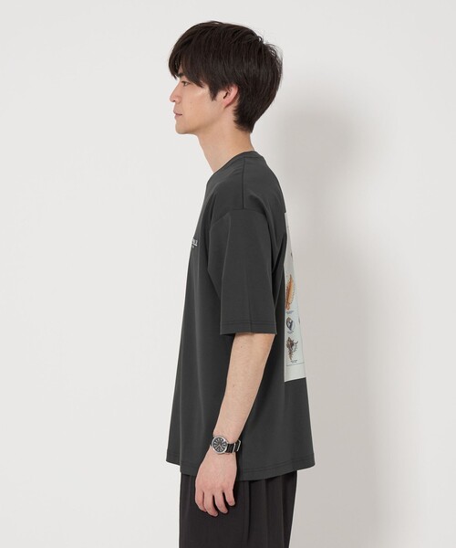 green label relaxing(グリーンレーベルリラクシング)の「DEYROLLE GLR クルーネック Tシャツ(Tシャツ/カットソー・メンズ・その他2/その他1/その他3・XL/S/L/M)」の9枚目の写真