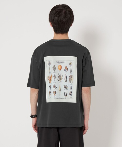 green label relaxing(グリーンレーベルリラクシング)の「DEYROLLE GLR クルーネック Tシャツ(Tシャツ/カットソー・メンズ・その他2/その他1/その他3・XL/S/L/M)」の10枚目の写真