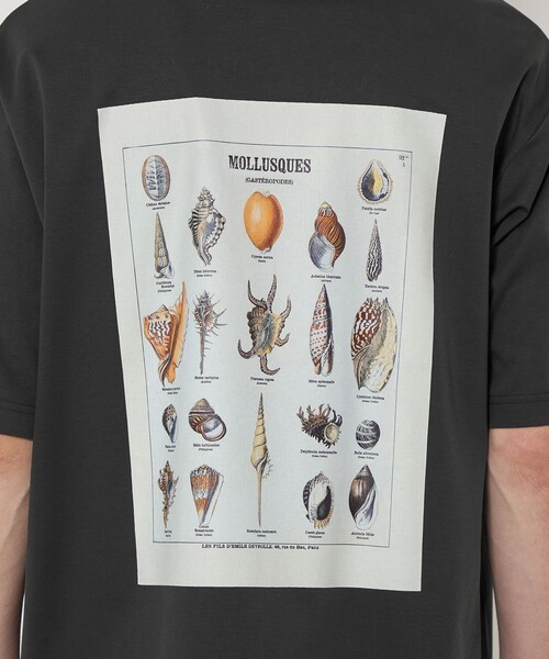 green label relaxing(グリーンレーベルリラクシング)の「DEYROLLE GLR クルーネック Tシャツ(Tシャツ/カットソー・メンズ・その他2/その他1/その他3・XL/S/L/M)」の15枚目の写真