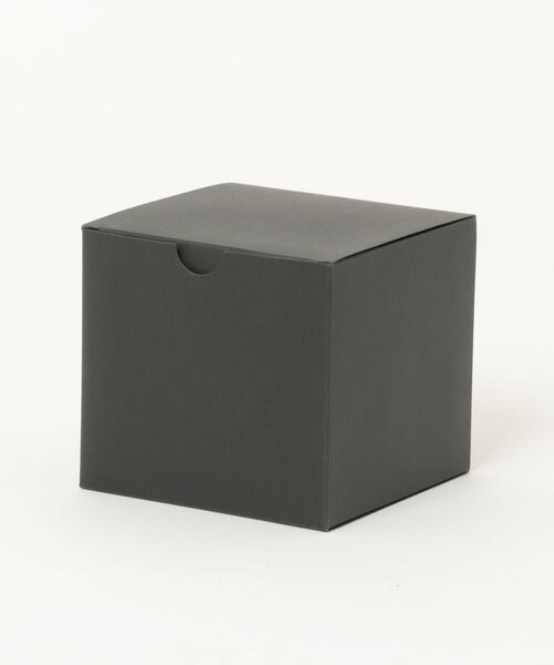 EMPORIO ARMANI(エンポリオアルマーニ)の「エンポリオ・アルマーニ 腕時計 レディース アナログ レザー AR11779(アナログ腕時計・レディース・グレー・FREE)」の11枚目の写真