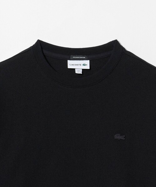 LACOSTE(ラコステ)の「<LACOSTE for BEAUTY&YOUTH> ワントーン ロングスリーブ カットソー(Tシャツ/カットソー・メンズ・オフホワイト/ブラック/ダークグレー/グレー系・S/L/M/XL)」の22枚目の写真