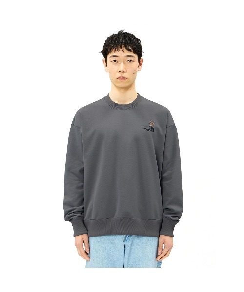 THE NORTH FACE(ザノースフェイス)の「THE NORTH FACE Zoo Picker Crew(ザ・ノース・フェイス ズーピッカークルー)(スウェット・メンズ・グレー系/ネイビー系/ブラック/オリーブ系・X-LARGE/LARGE/MEDIUM)」の2枚目の写真