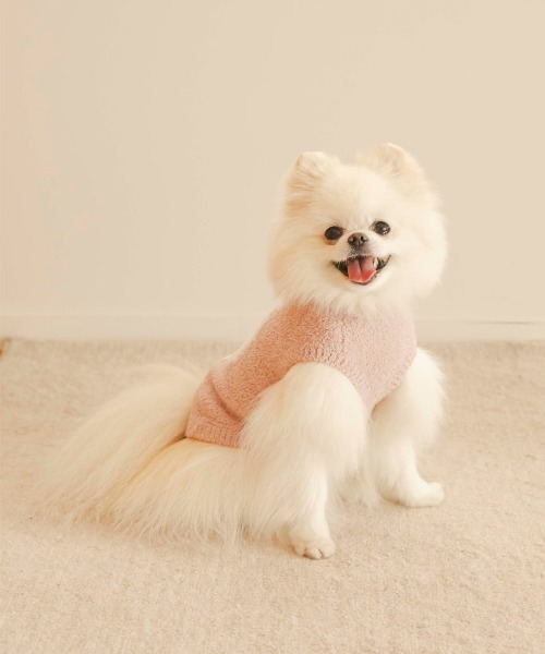 新品 ジェラートピケ パウダーDOG柄ジャガードプルオーバー ポメラニアン 新品 ジェラートピケ ポメラニアン パウダーDOG3柄ジャガード