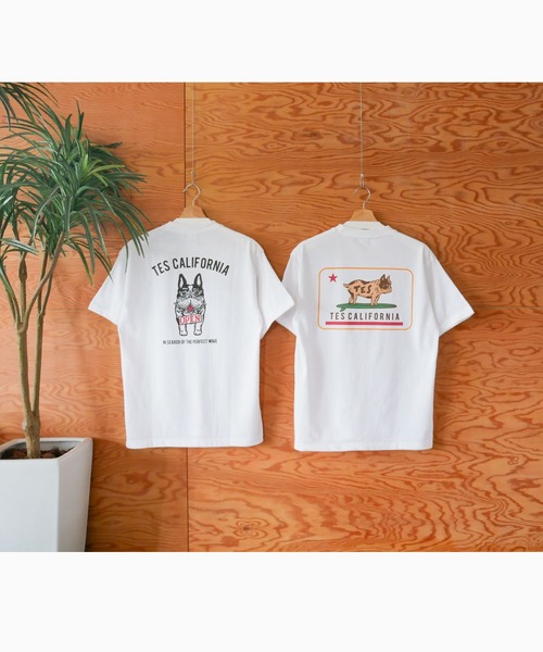 The Endless Summer（エンドレスサマー）の「【WEB / FLAG SHOP限定】ORGANIC COTTON CALIFORNIA T-SHIRT /オーバーサイズ・半袖T（Tシャツ/カットソー・メンズ・A/C/D/E/B・MEDIUM/LARGE/X-LARGE）」の7枚目の写真