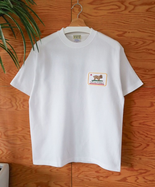 The Endless Summer（エンドレスサマー）の「【WEB / FLAG SHOP限定】ORGANIC COTTON CALIFORNIA T-SHIRT /オーバーサイズ・半袖T（Tシャツ/カットソー・メンズ・A/C/D/E/B・MEDIUM/LARGE/X-LARGE）」の18枚目の写真
