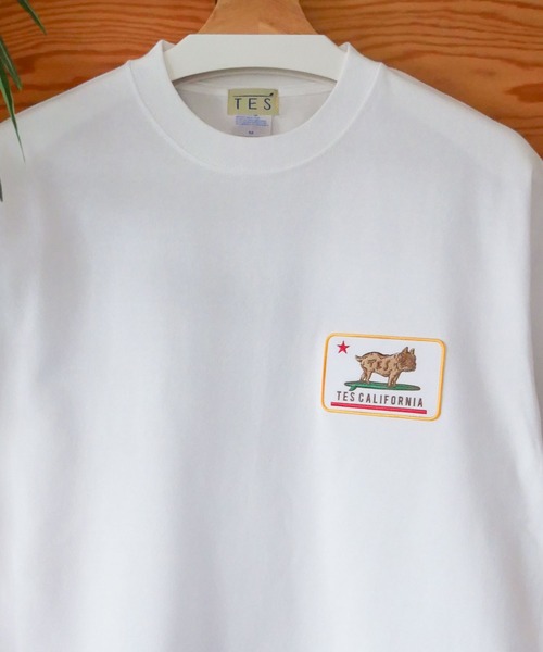 The Endless Summer（エンドレスサマー）の「【WEB / FLAG SHOP限定】ORGANIC COTTON CALIFORNIA T-SHIRT /オーバーサイズ・半袖T（Tシャツ/カットソー・メンズ・A/C/D/E/B・MEDIUM/LARGE/X-LARGE）」の19枚目の写真