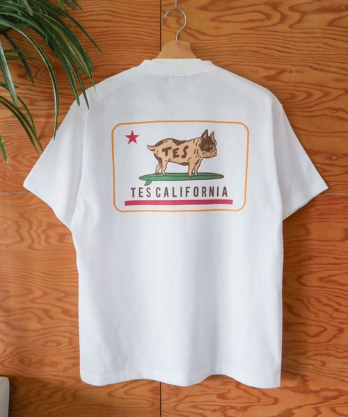 The Endless Summer（エンドレスサマー）の「【WEB / FLAG SHOP限定】ORGANIC COTTON CALIFORNIA T-SHIRT /オーバーサイズ・半袖T（Tシャツ/カットソー・メンズ・A/C/D/E/B・MEDIUM/LARGE/X-LARGE）」の21枚目の写真