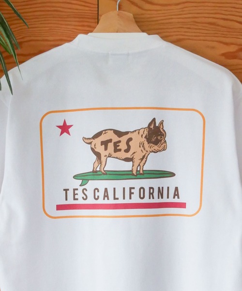 The Endless Summer（エンドレスサマー）の「【WEB / FLAG SHOP限定】ORGANIC COTTON CALIFORNIA T-SHIRT /オーバーサイズ・半袖T（Tシャツ/カットソー・メンズ・A/C/D/E/B・MEDIUM/LARGE/X-LARGE）」の22枚目の写真