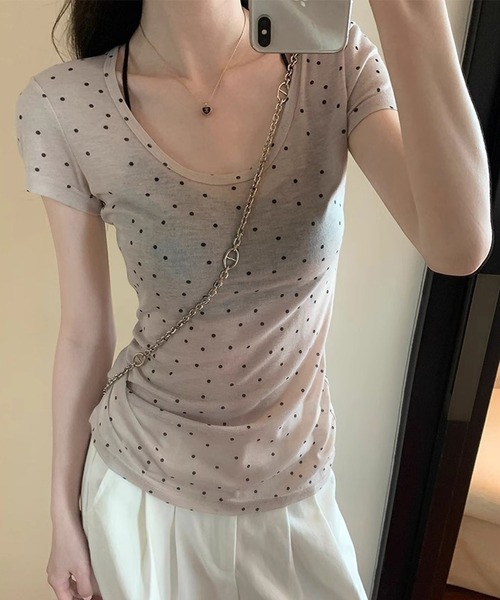 HALEY PESCA(ヘーリーペスカ)の「HALEY PESCA/シースルー ドット柄半袖トップス(Tシャツ/カットソー・レディース・グレー/アイボリー・SMALL/MEDIUM)」の1枚目の写真