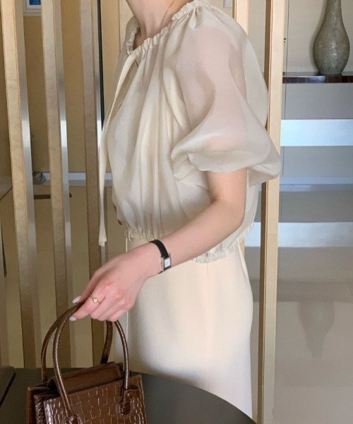 Vipoa（ヴィポア）の「gather neck sheer blouse（シャツ/ブラウス・レディース・アイボリー/ブラック・FREE）」の11枚目の写真