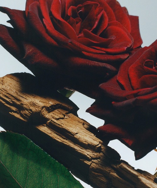 JO MALONE LONDON（ジョーマローンロンドン ）の「ジョー マローン ロンドン ヴェルベット ローズ & ウード オール オーバー ボディ スプレー 125mL（フレグランスミスト・レディース・その他・FREE）」の3枚目の写真