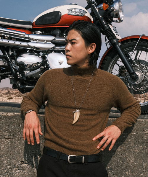 VDR（ブイディアール）の「WHOLE GARMENT DOUBLE FACE TURTLENECK [Golden Brown]（ニット/セーター・メンズ・その他・MEDIUM/LARGE/X-LARGE）」の5枚目の写真