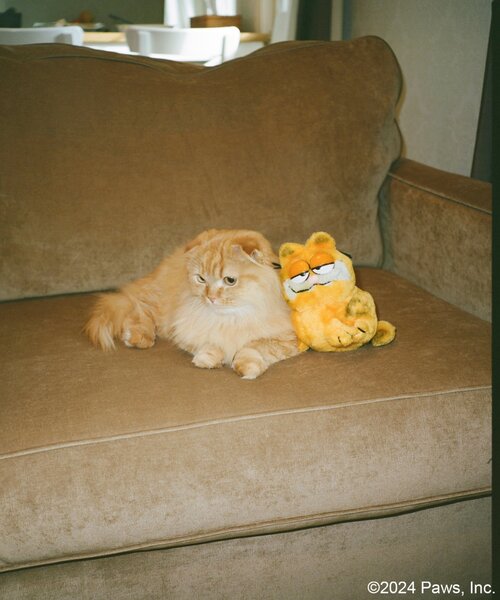 JOURNAL STANDARD(ジャーナルスタンダード)の「【Garfield / ガーフィールド】70s 80s Art スウェット(スウェット・メンズ・イエロー/ブラック系その他/グレー/ライトイエロー・X-LARGE/MEDIUM/LARGE)」の15枚目の写真