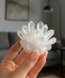 NOLITA LABORATORY(�m���[�^���{���g���[)�́y NOLITA / �m���[�^ �z �N���A�N�H�[�c ���� �u�� �� �C���e���A ���� �N���X�^�[(�C���e���A�G��)