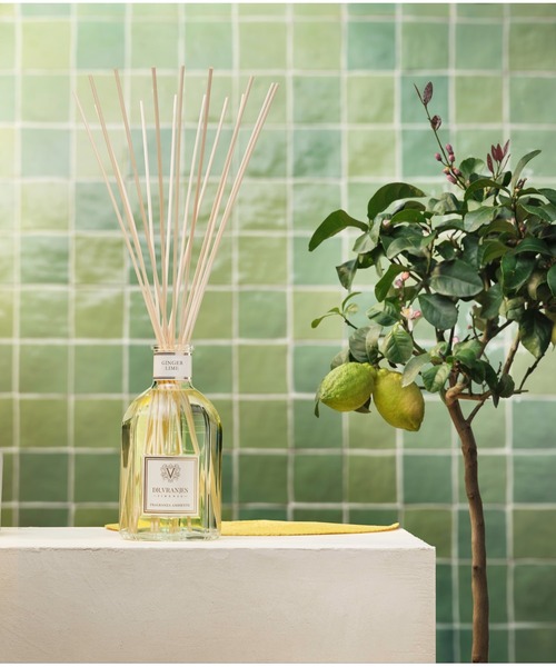 GINGER LIME 〈ジンジャー・ライム〉 500ml ディフューザー（ルーム